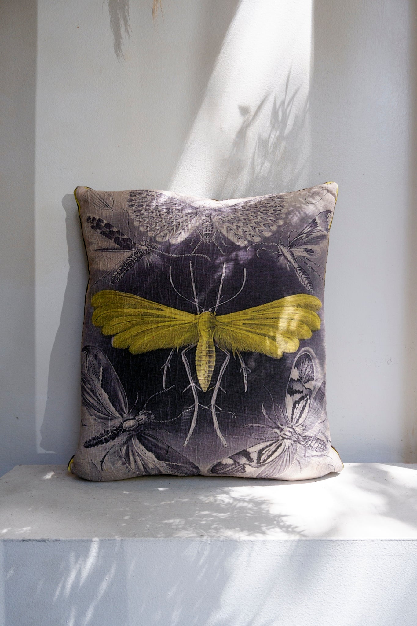 Hoponit Haeckel Tineida Collection Yellow Moth Cotton Cushion