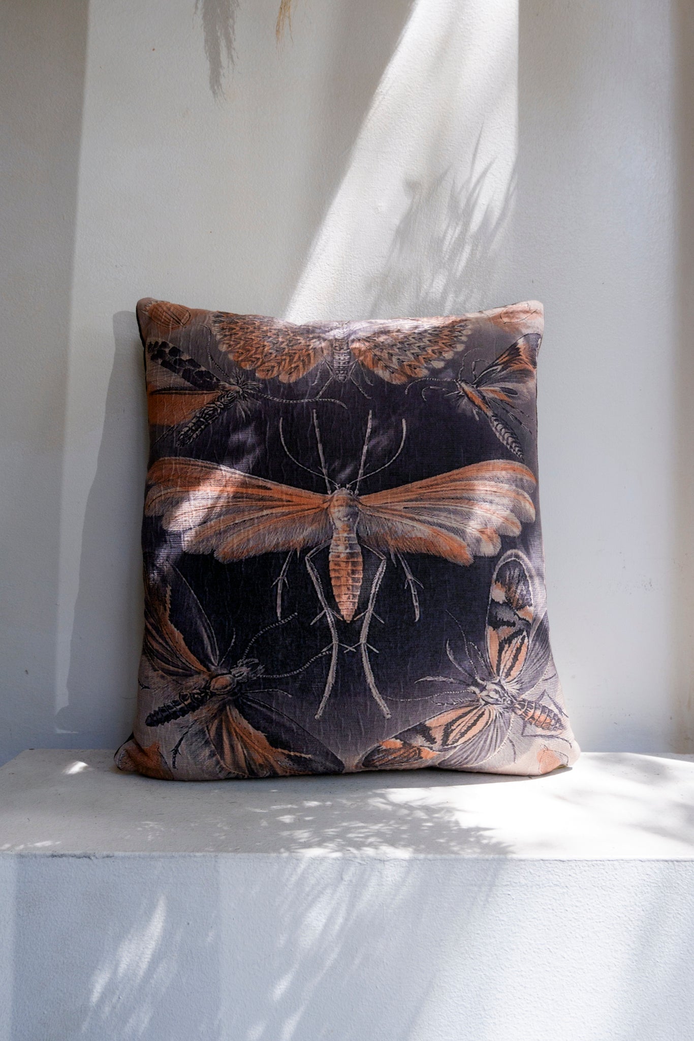 Hoponit Haeckel Tineida Collection Orange Moth Cotton Cushion