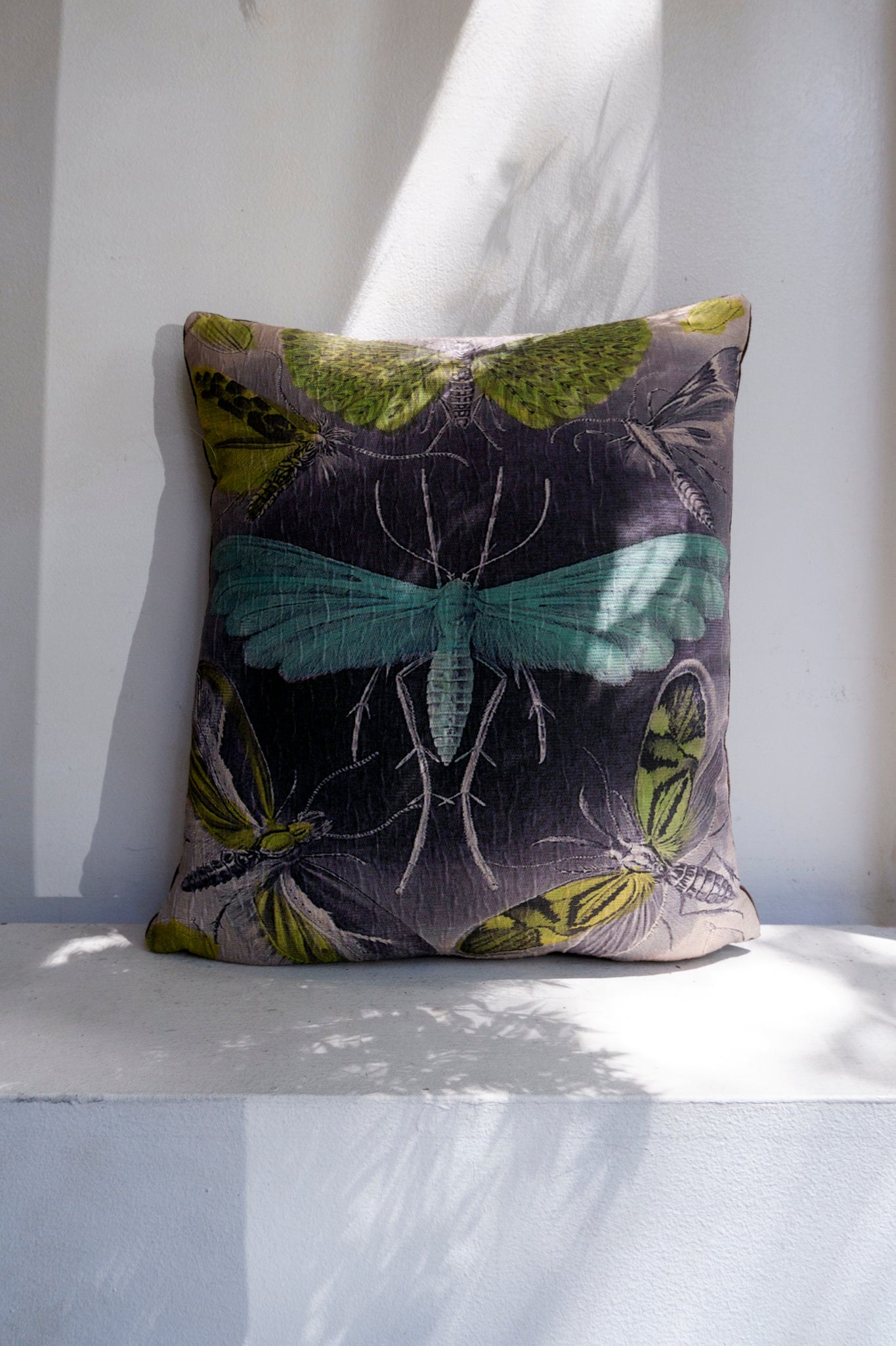 Hoponit Haeckel Tineida Collection Green Moth Cotton Cushion