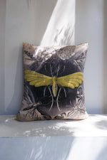 Load image into Gallery viewer, Hoponit Haeckel Moth Collection Yellow Silk Cushion
