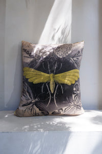 Hoponit Haeckel Moth Collection Yellow Silk Cushion