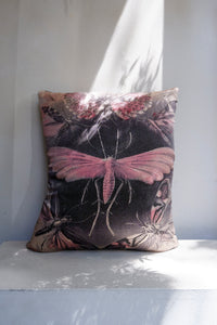 Hoponit Haeckel Moth Collection Pink Silk Cushion