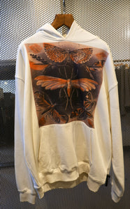 HCHHAETIN170 Heavy cotton hoodie moth