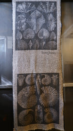 Load image into Gallery viewer, WLSFHAESH15540 Haeckel Shell Collection Wool Scarf
