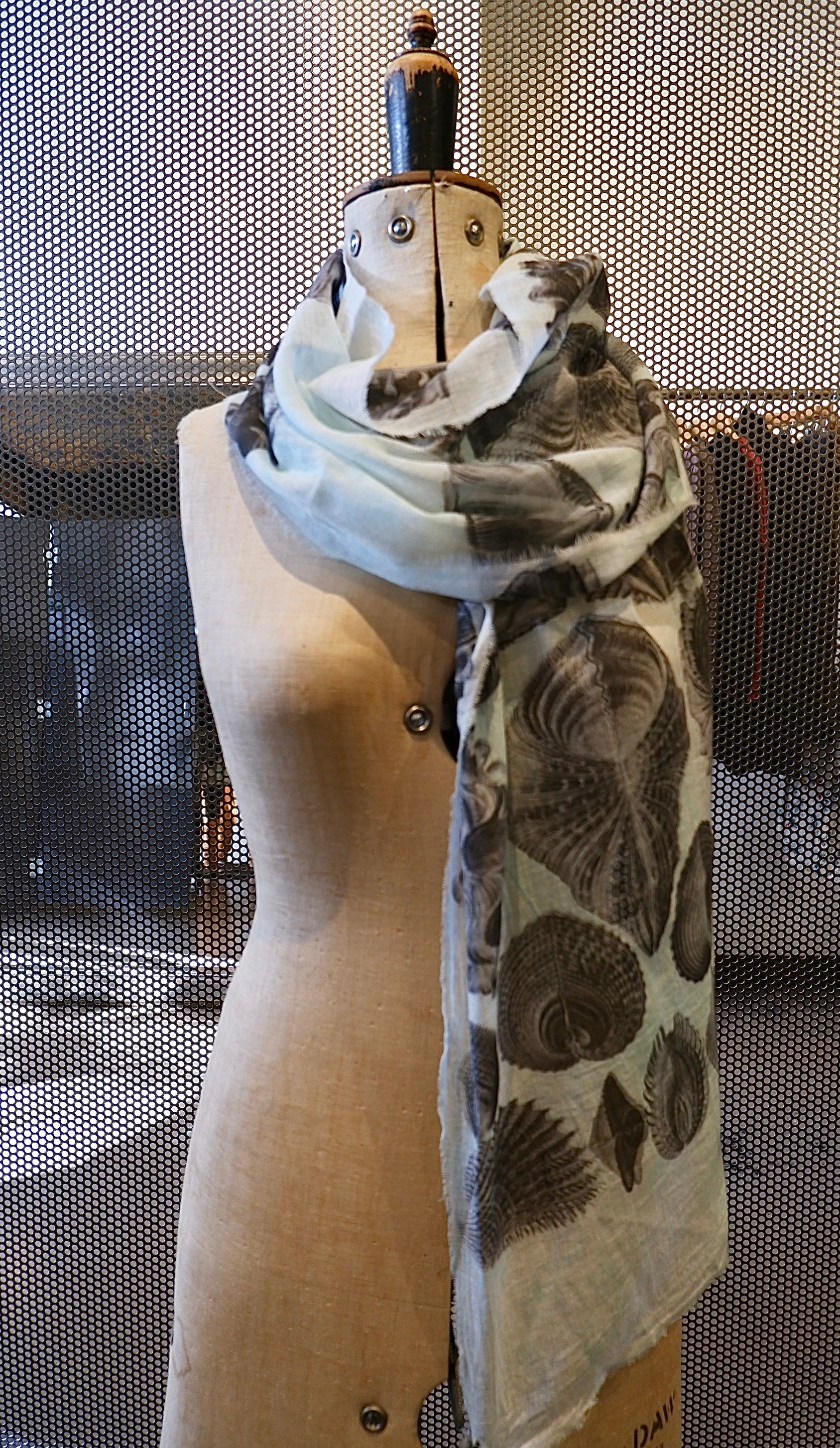 FCSLHAESH210 Haeckel Shell Collection Fine Cotton Scarf
