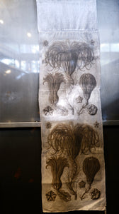 HAECKEL PENTACRINUS COLLECTION FCSPDHAEPENT220