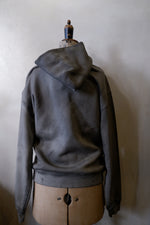Load image into Gallery viewer, Haeckel Navicula Heavy Cotton Hoodie Distressed
