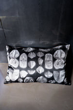 Load image into Gallery viewer, Haeckel Terebratula Silk Cushion
