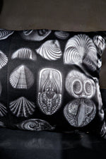 Load image into Gallery viewer, Haeckel Terebratula Silk Cushion
