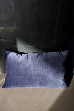 Load image into Gallery viewer, Haeckel Terebratula Silk Cushion
