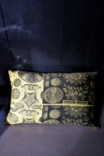 Load image into Gallery viewer, Haeckel Triceratium Navicula Cotton Chintz Cushion Chartreuse
