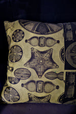 Load image into Gallery viewer, Haeckel Triceratium Navicula Cotton Chintz Cushion Chartreuse
