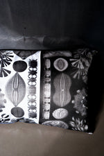 Load image into Gallery viewer, Haeckel Navicula Silk Cushion Two Tone
