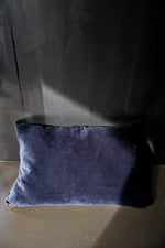 Load image into Gallery viewer, Haeckel Navicula Silk Cushion Two Tone
