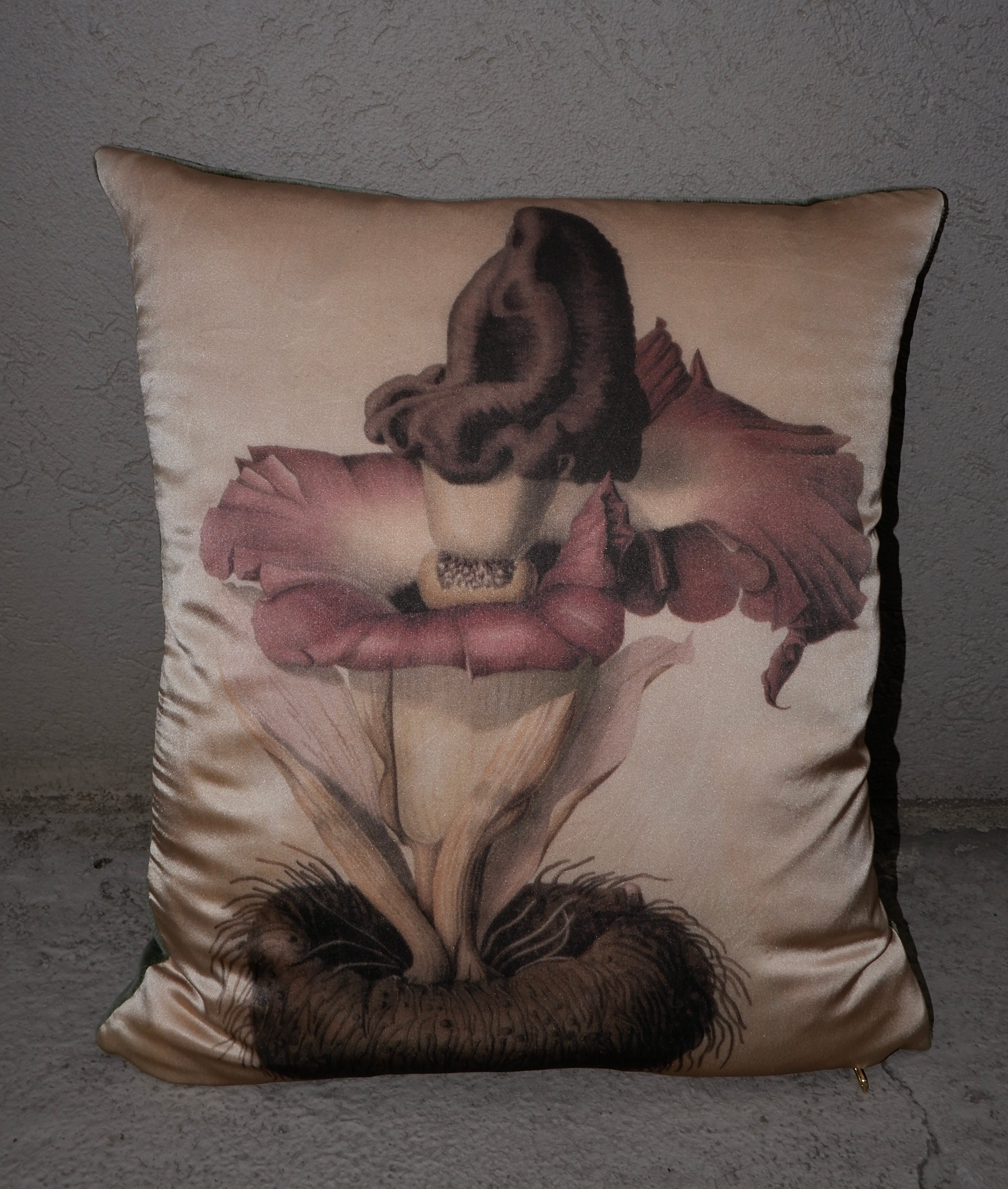CUSHSVKBAMCR40 K BLUME AMORPHOPHALLUS CREAM
