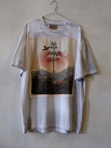 ROBERT THORNTON BIRDS DISTRESSED TEE CREAM SILK