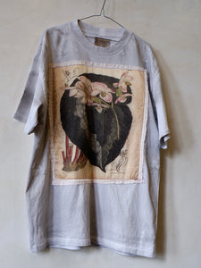 CTSKCBMBEG60 CURTIS’S BOTANICAL BEGONIA DISTRESSED TEE CREAM SILK