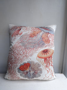 HAECKEL JELLYFISH COLLECTION CUSHSVHAEJF40