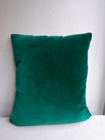Load image into Gallery viewer, CUSHSVRTTURBD40 ROBERT THORNTON BIRDS TURQUOISE SILK
