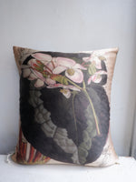 Load image into Gallery viewer, CUSHSVCBMCRBEG40 CURTIS’S BOTANICAL MAGAZINE: BEGONIA CREAM
