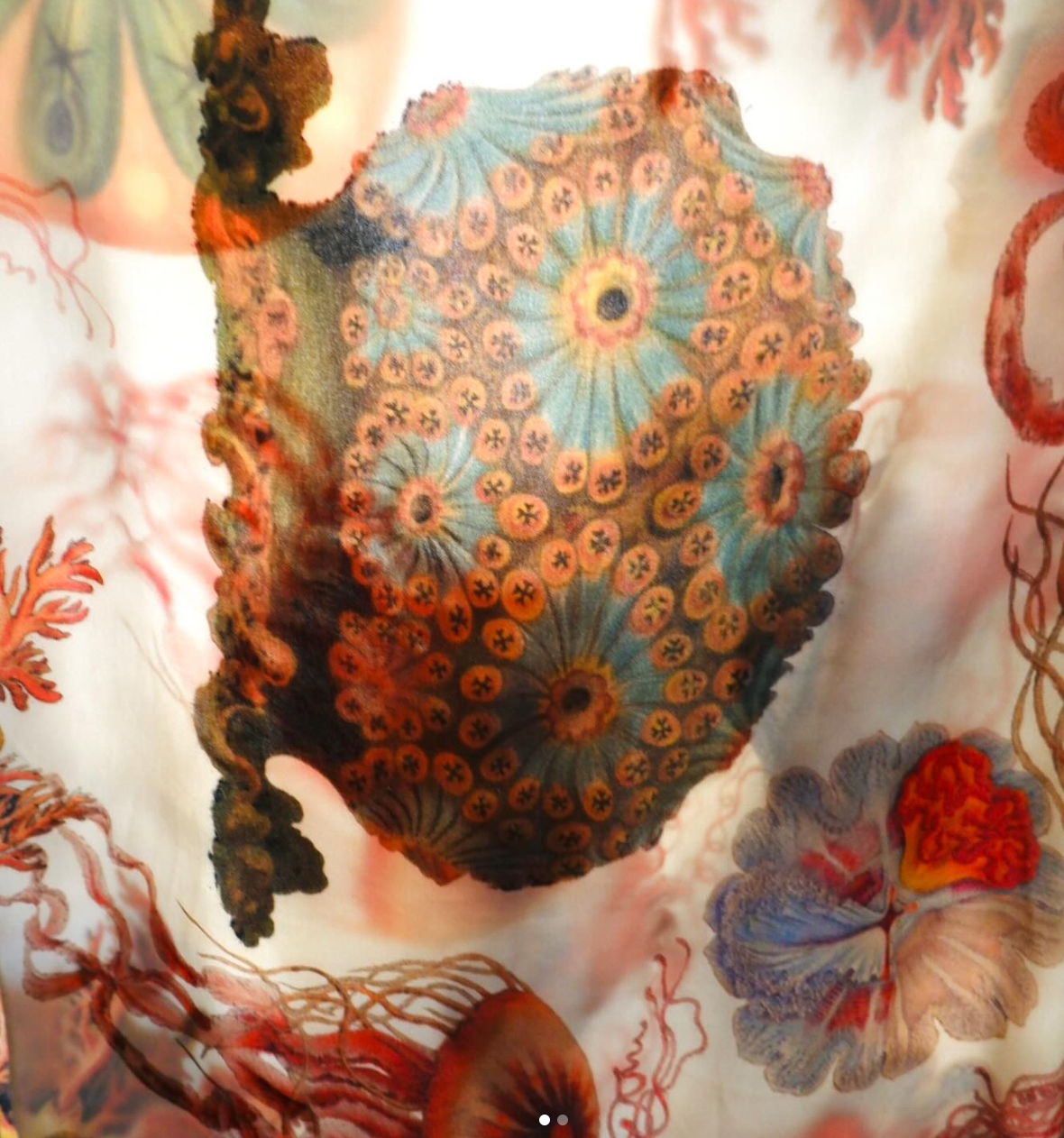 SSHAEBOTASC100 Haeckel Ascidea Collection Botanical Dye Silk Scarf