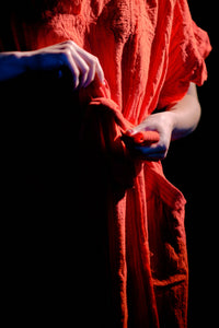 Campari Promener Picnic Dress