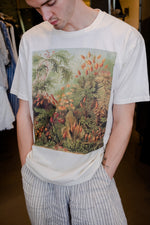 Load image into Gallery viewer, CTSSHAE70 Haeckel Muscinae Collection Cotton Tee Short Sleeve
